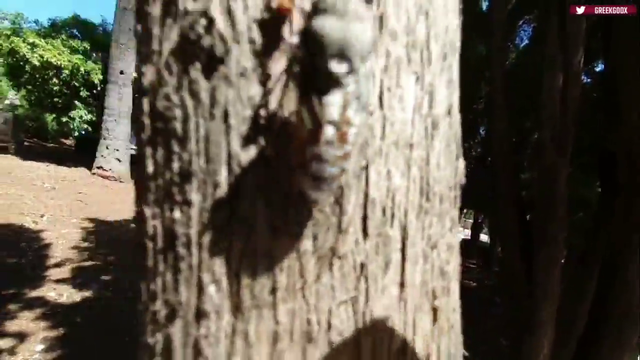 Greek catches a Cicada