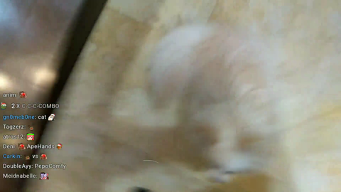 Lilypichu shoots her dog