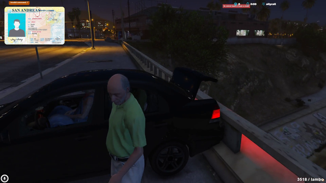 Esfand goes for a ride