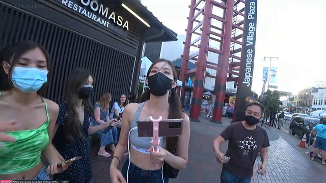 Twitch in a nutshell IRL