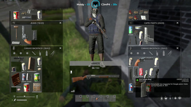 Lirik meets friendly player in DayZ