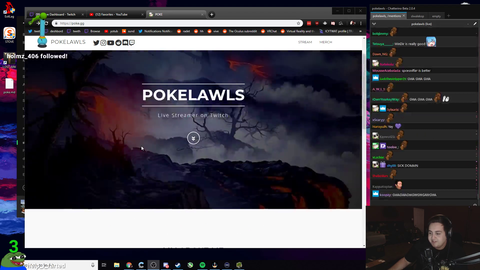 Pokelawls and his own website