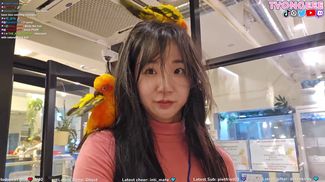 Auntie is good with birds