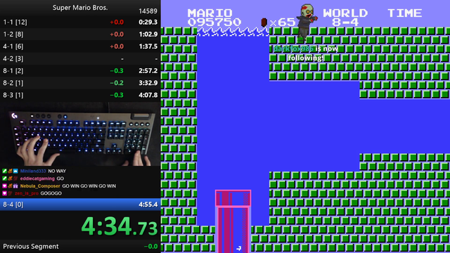 Niftski becomes the first person to beat Super Mario Bros in 4:54.