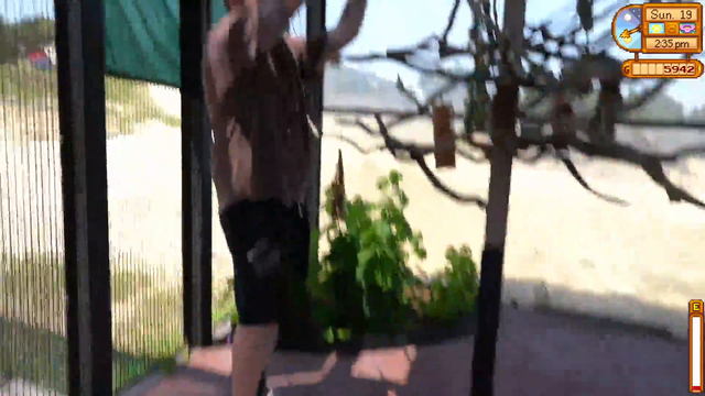 Wubby gets bullied by a parrot
