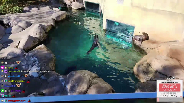 A furry goes to the zoo