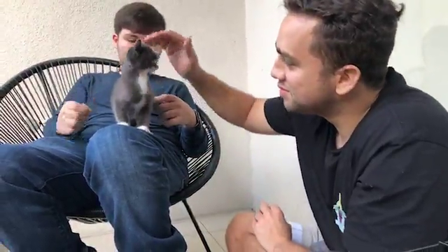 Connor's cat hates Mizkif