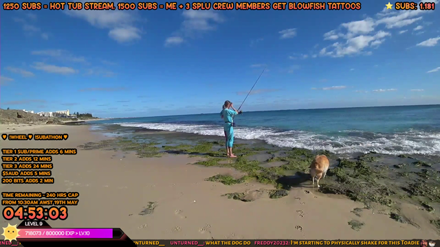 chat goes for a swim