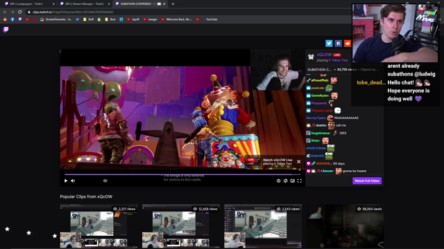 Ludwig CONFIRMS year long subathon