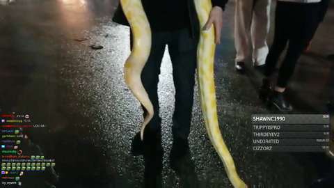 MitchJones and Trainwrecks reunited