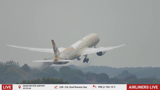 Bird gets obliterated by a departing Boeing 787 in Manchester