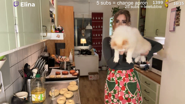 poor cat #2