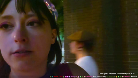 Random person harass streamer
