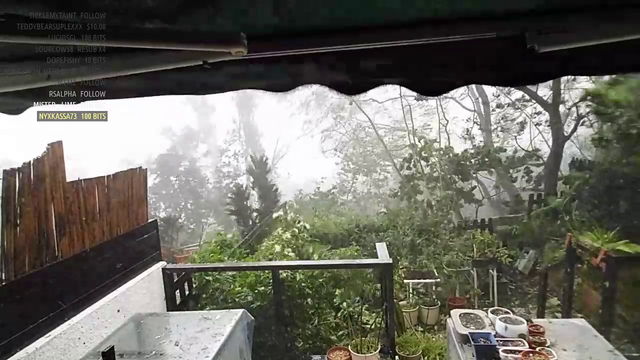 dayz_hk livestreaming no.10 super typhoon in hong kong