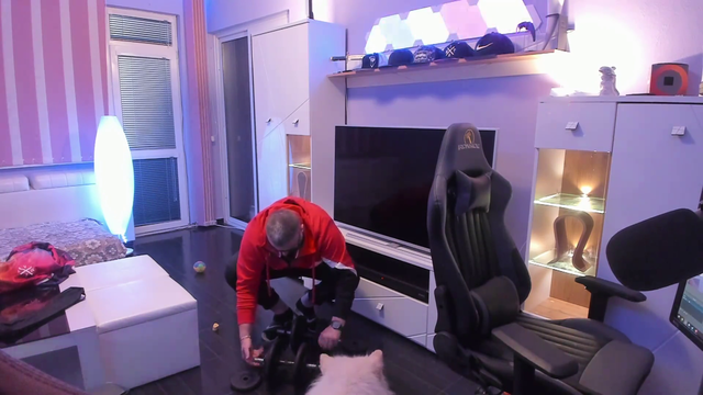 Streamer play dead on stream, his dog reaction is precious