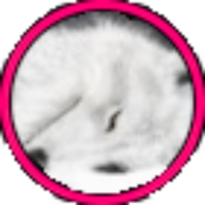 ScarlettM