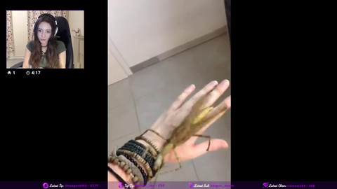 Anita has a xQc moment.