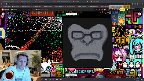XQC argues with OSU devs over pixels