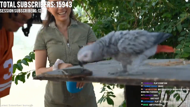 Agent dances with a Parrot
