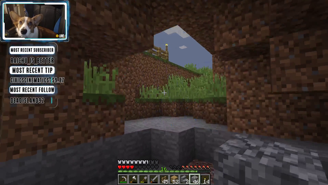 Corgi Plays Minecraft!