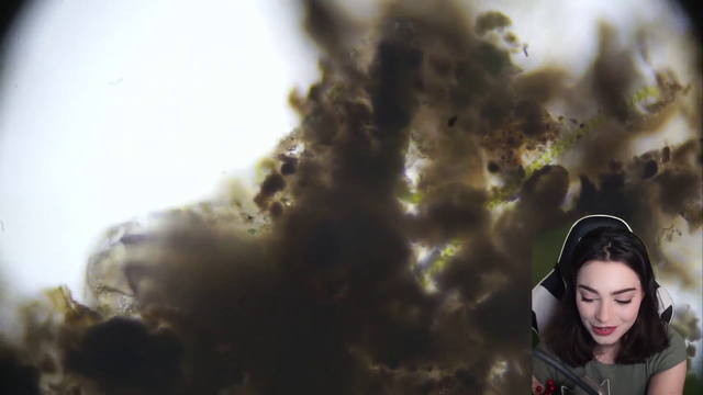 Microscope (and Music) Streamer Faezaria finds a Microorganism Playing Ball