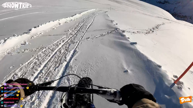 Papaplatte Eats It Biking Down a Mountain