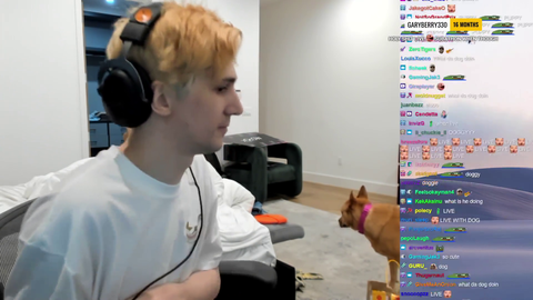 xQc's wholesome interaction with the doggo