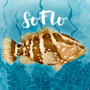 SoFloWildlife