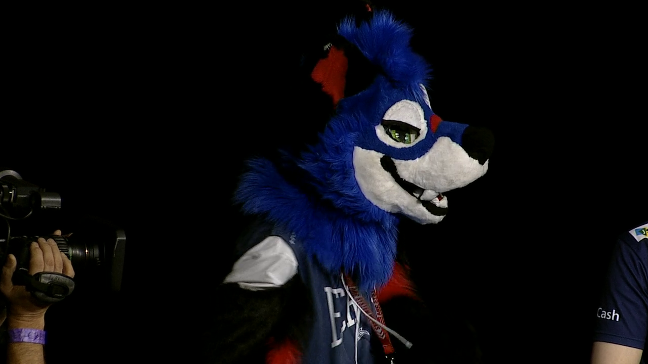 Trying to put the medal on the EVO Furry Champion of Dragon ball Fighterz. Sonicfox