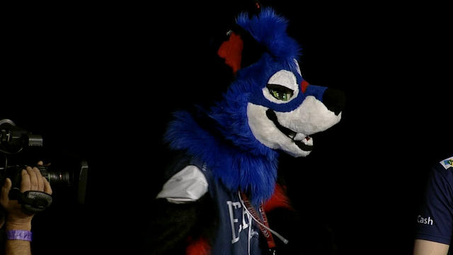 Trying to put the medal on the EVO Furry Champion of Dragon ball Fighterz. Sonicfox