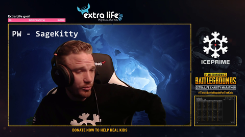 Deadmau5 dropping $25.000 for PUBG Extra Life Charity!