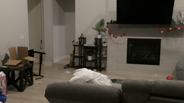 Train and Mitch situation