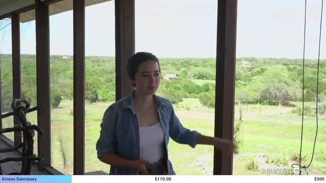 Maya's first stream at her animal sanctuary starts off strong