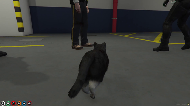 Miranda rights rap god. Ft Sodapoppin cat