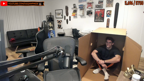HOBOsan hides from Fish