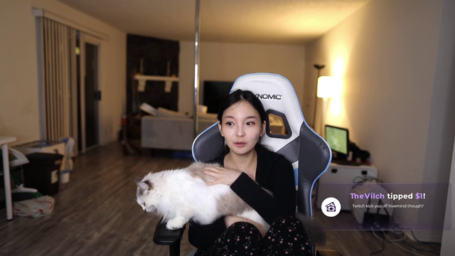 Codemiko on her Twitch bans