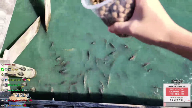 Hachu feeds the fish and then ...