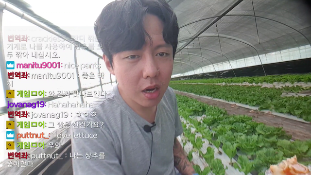 Korean farmer feeds you lettuce