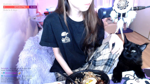 streamer browser history exposed by her cat