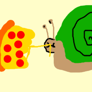 snailtopia