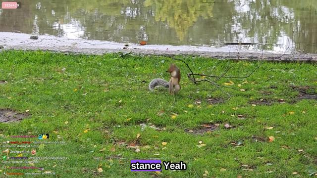 Anjooneena stumbles upon Squirrels reenacting Naruto x Sasuke...