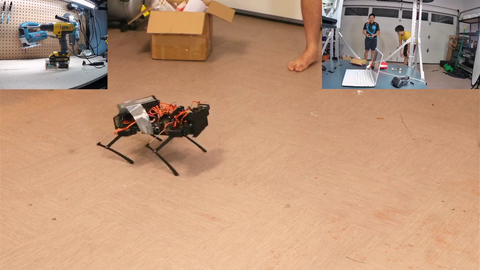 Michael & Toast robodog first test