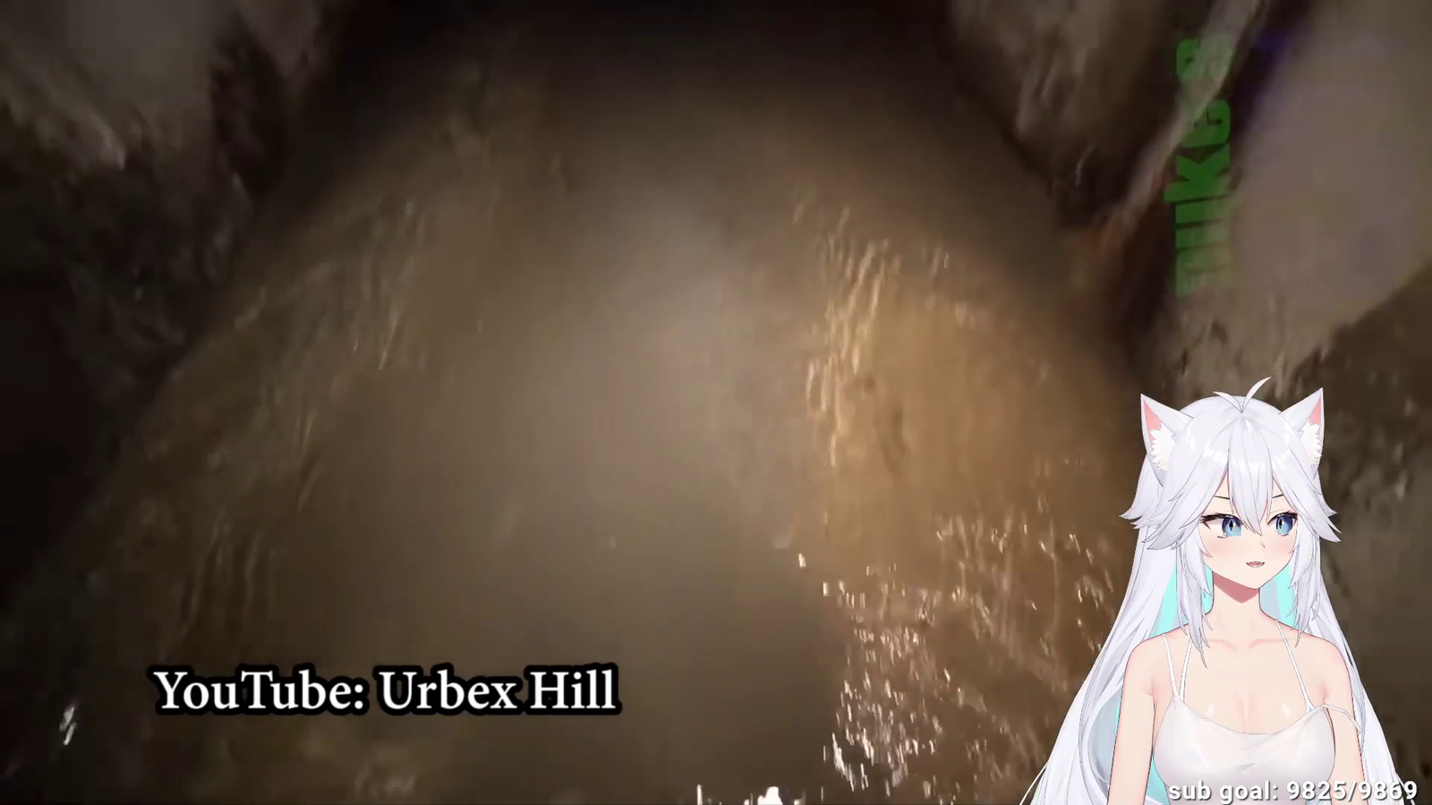 Monster in the sewer