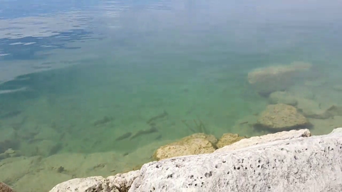 Alec and Dkane catch a monster bass.