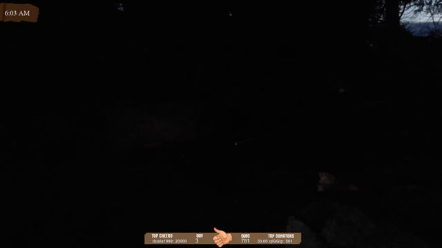 Footsteps in the night as Hitch sleeps
