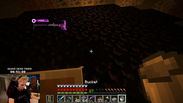 quin goes through the portal