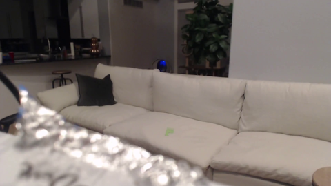 Tyler gives us a view of his new normal size 23k couch.