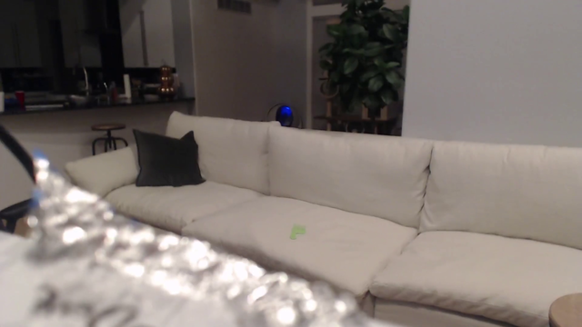 Tyler gives us a view of his new normal size 23k couch.