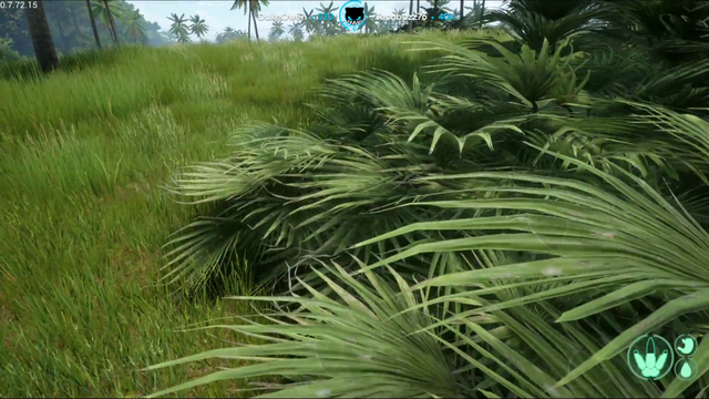 Lirik narrates Animal Planet
