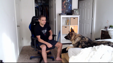 Erobb221 shamelessly jebaits dog